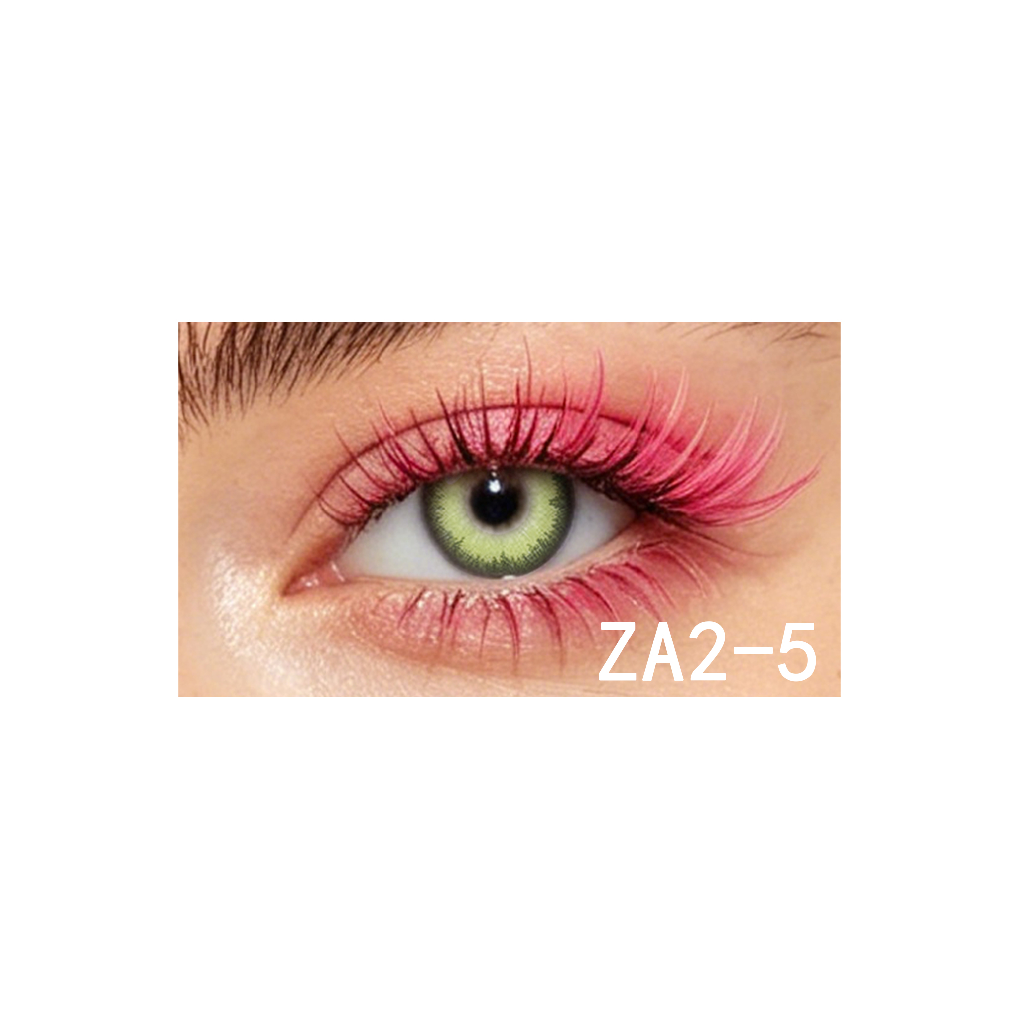 Five Divine Eye Colors to Elev - Beauty Makeup Look บทวิจารณ์และราคา