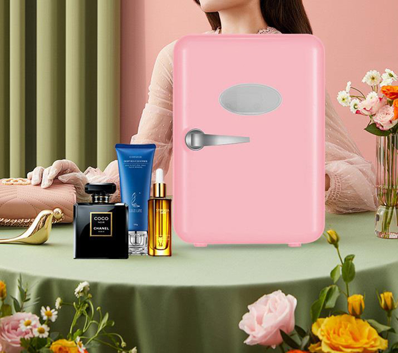 Dual-Use 4L Home Car Use Refri - Beauty Makeup Fridge บทวิจารณ์และราคา