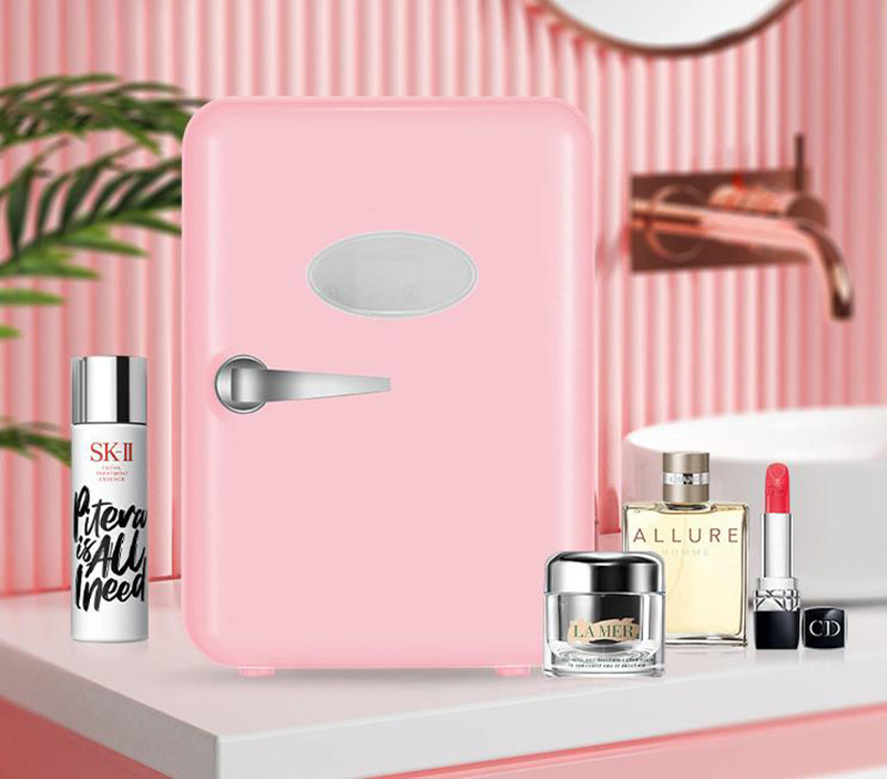 Dual-Use 4L Home Car Use Refri - Beauty Makeup Fridge บทวิจารณ์และราคา